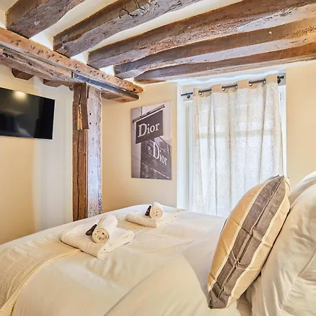 Amazing In Center Of Apartment Paris